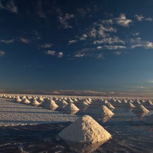 MG_5473