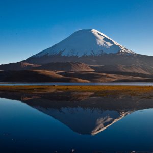 MG_5583
