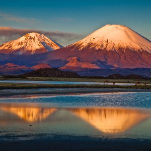 MG_5727