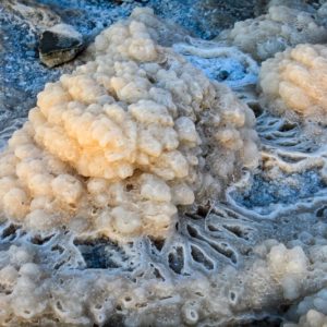 MG_1384