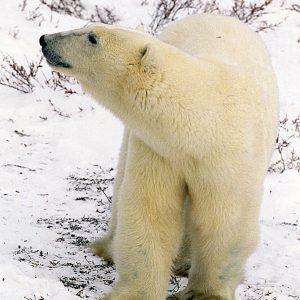 Untitled_20