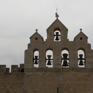 MG_7779