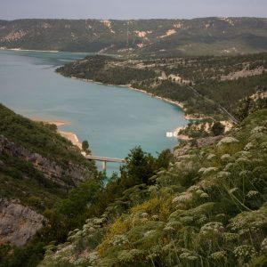 MG_8349
