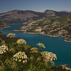 MG_8444